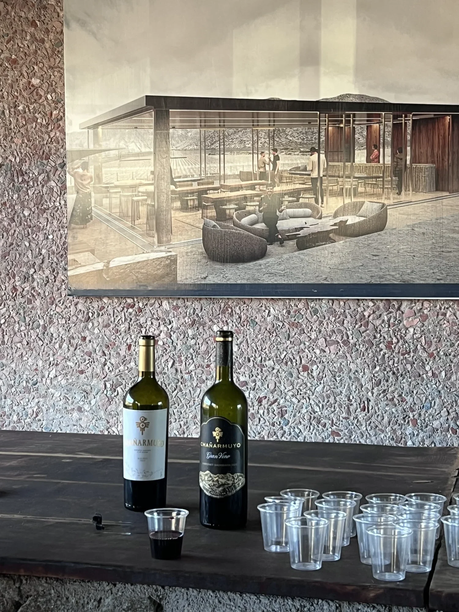 Viñedos de Bodega Chañarmuyo al pie del Famatina, Chilecito, La Rioja.